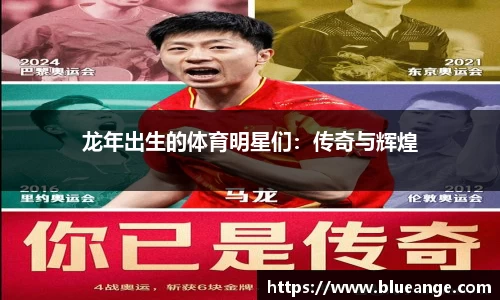易倍emc体育网页版