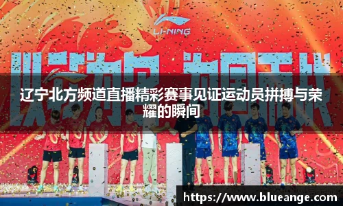 辽宁北方频道直播精彩赛事见证运动员拼搏与荣耀的瞬间