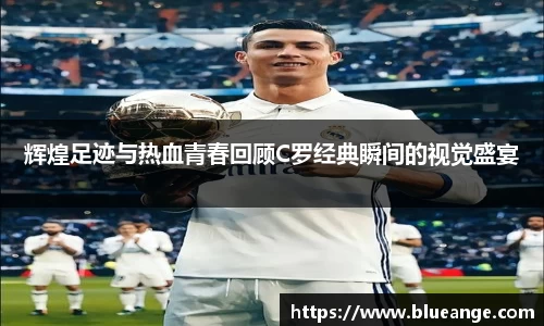 EMC易倍