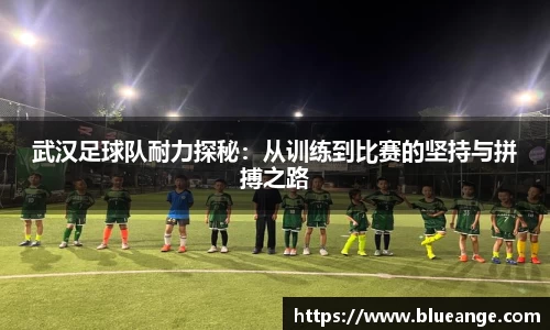 EMC易倍