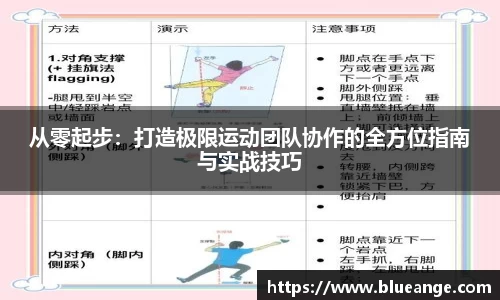 EMC易倍