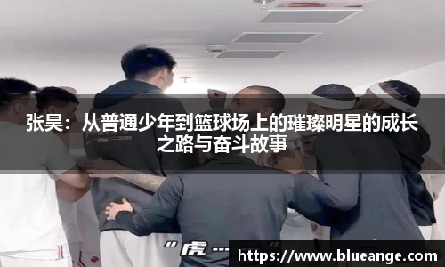 EMC易倍